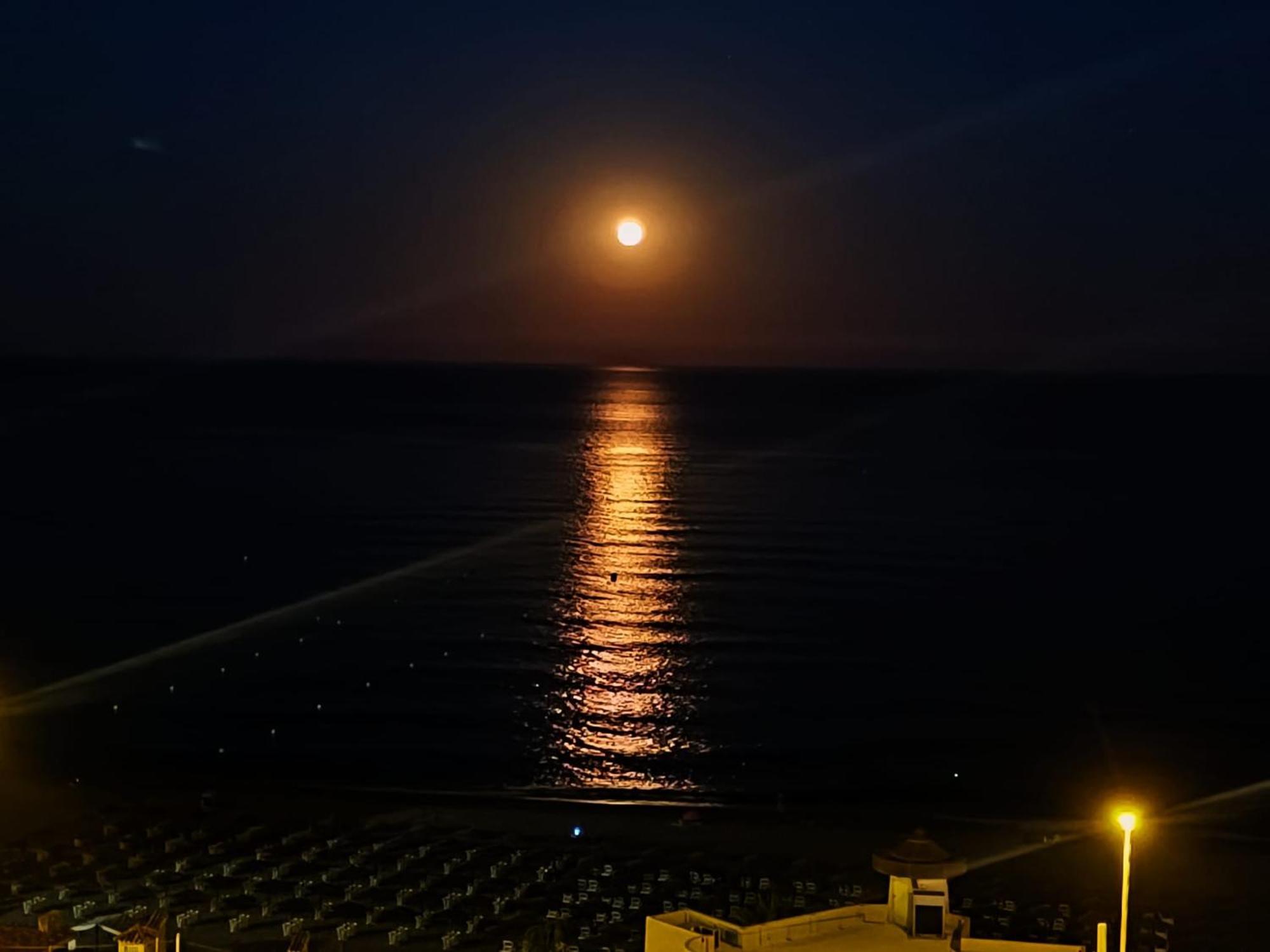 Appartement Carvajal Seaview
